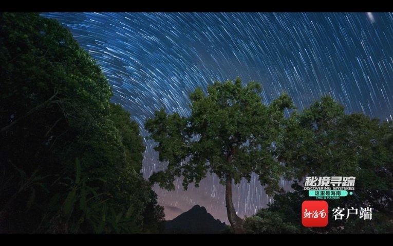 蓝狐视频